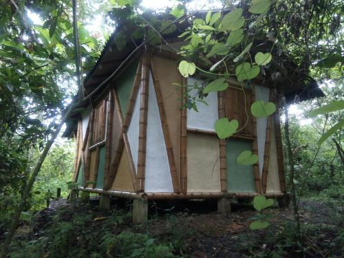 Ecolodge Kasaguadua