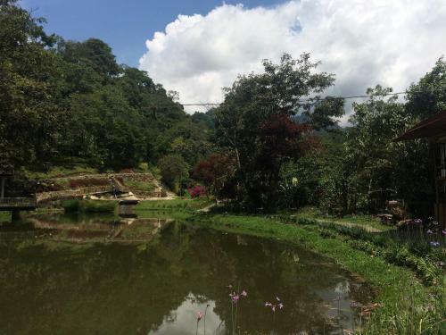 Lodge Charco Coraz�n