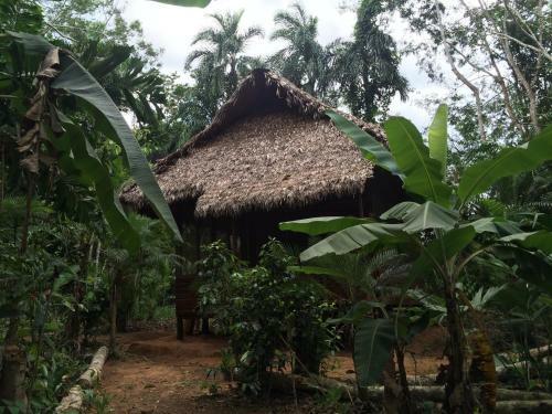 Anaconda Lodge