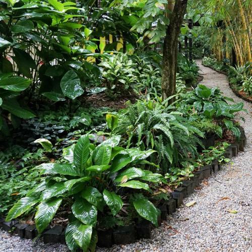 Hotel Jacana Amazon Wellness Resort