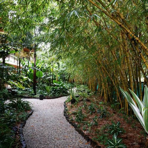 Hotel Jacana Amazon Wellness Resort