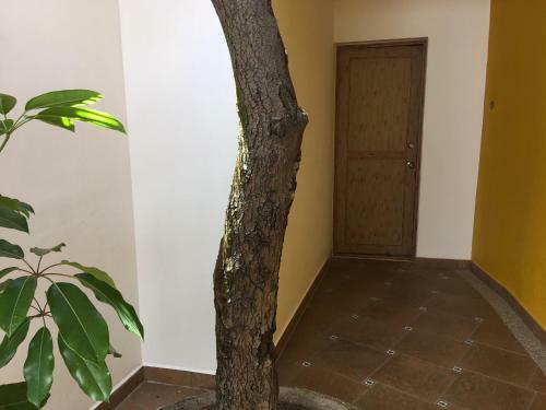 Apartamento Casa Cielo