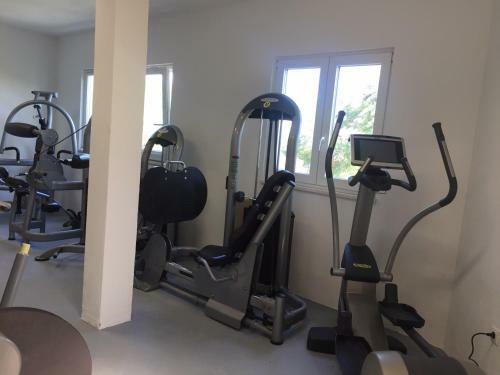Apartments Majda