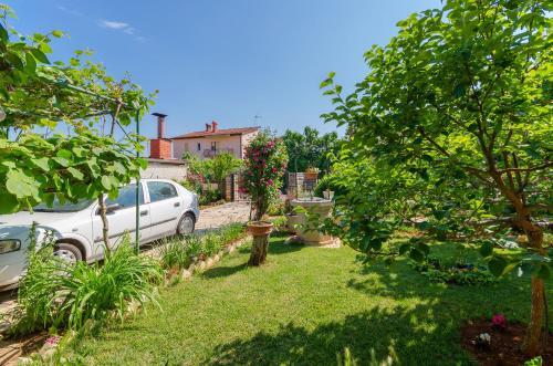 Apartments Sajma