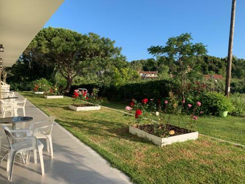 Apartamento Family Studios