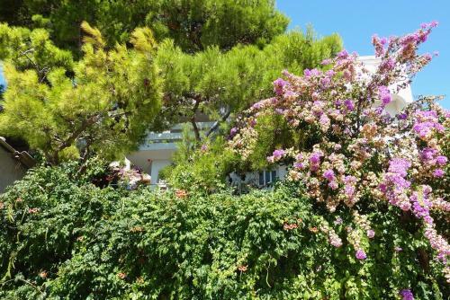Apartment Lokva Rogoznica 4820a