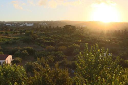 Apartamento Theofilos Appartements