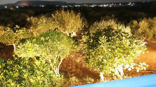 Apartamento Theofilos Appartements