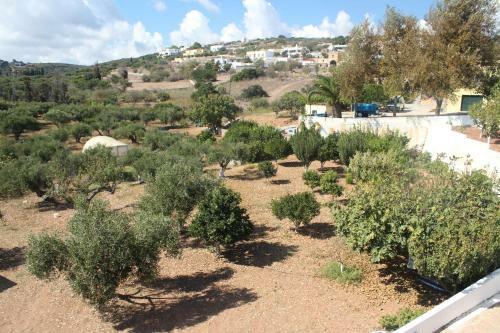 Apartamento Theofilos Appartements