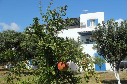 Apartamento Theofilos Appartements