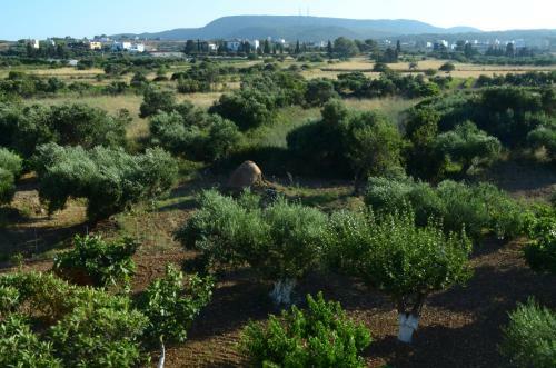 Apartamento Theofilos Appartements
