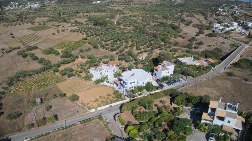 Apartamento Theofilos Appartements