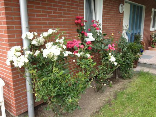Apartamento Inselferien Fehmarn