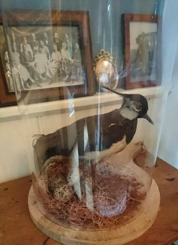 Boutique B&B Huize De Worp