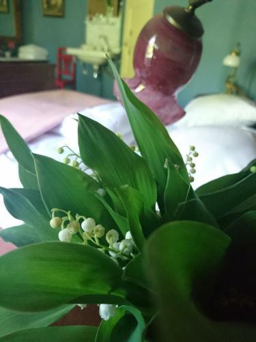 Boutique B&B Huize De Worp