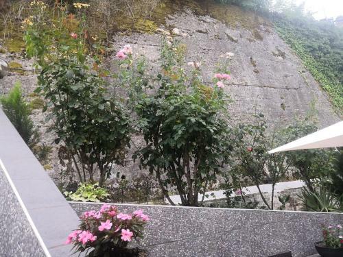 Bed & Breakfast Il Roseto