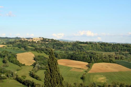 "villa Bizzi"