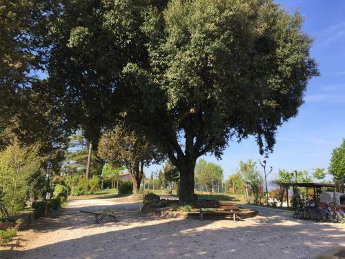 "villa Bizzi"