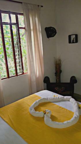 Ceiba Tree Lodge