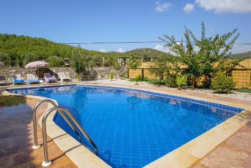 Villa Seyir