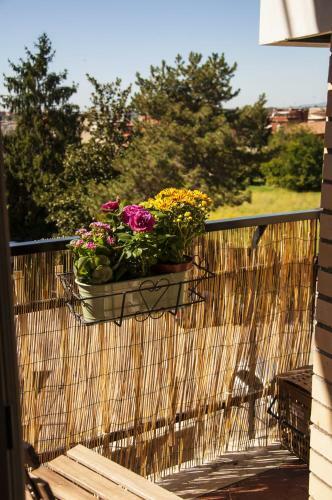 Apartamento Casa Romagraziosa