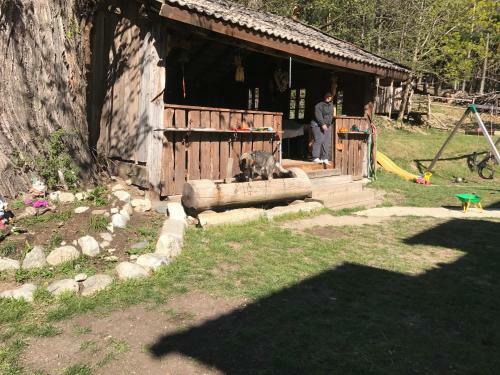 Apartamento Gasserhof Aicha
