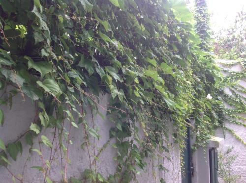Hostal Vista Da Serra Pousada De �guas