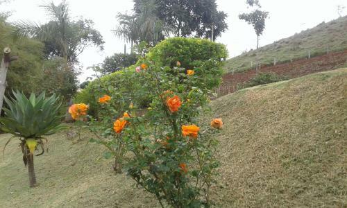 Sitio D. Tereza