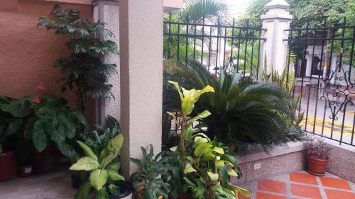 Hostal Terraza's House