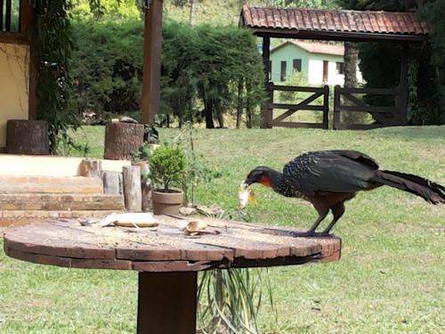 Vale Do Alcantilado