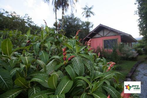 Lodge Pura Vida Residence