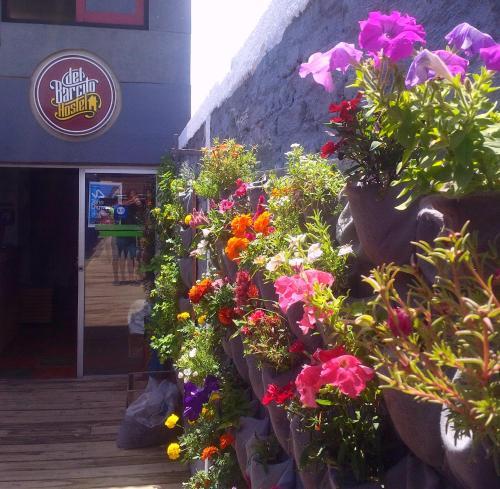 Hostal Del Barcito Hostel And Suites