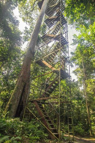 Lodge Corto Maltes Amazonia