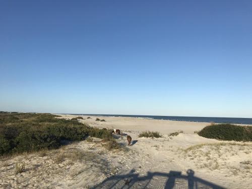 Apartamento Barefoot Country 301