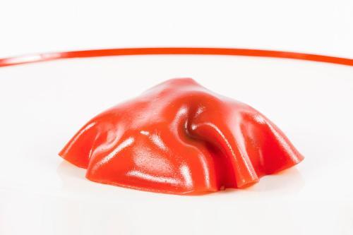 Hotel Castello Chiola