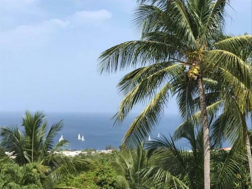 Paradis Tropical Appart'hotel