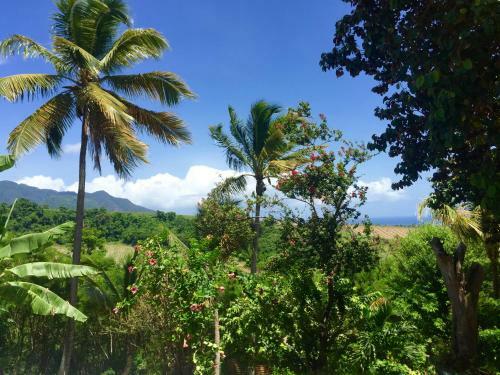 Paradis Tropical Appart'hotel
