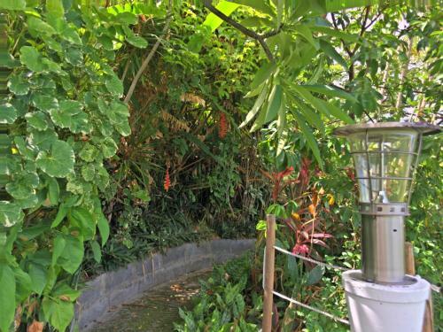 Paradis Tropical Appart'hotel