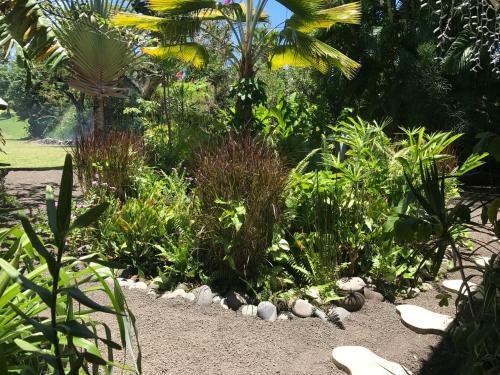 Paradis Tropical Appart'hotel