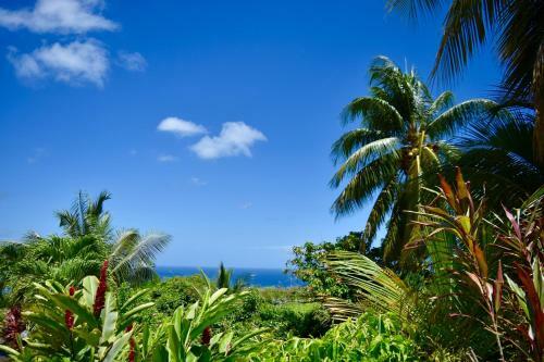 Paradis Tropical Appart'hotel