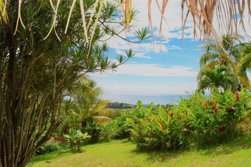 Paradis Tropical Appart'hotel