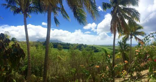 Paradis Tropical Appart'hotel