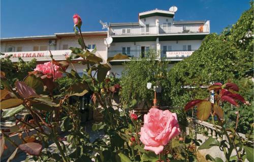Apartment Poljicka Cesta-golubinka II