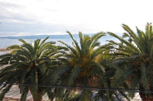Apartment Duce 5987c