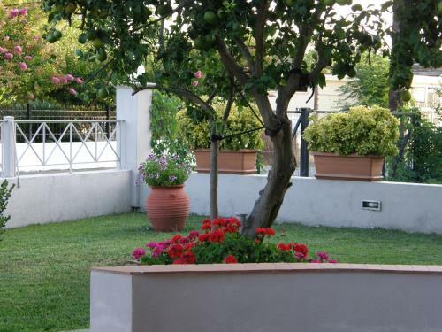 Aparthotel Hotel Aki
