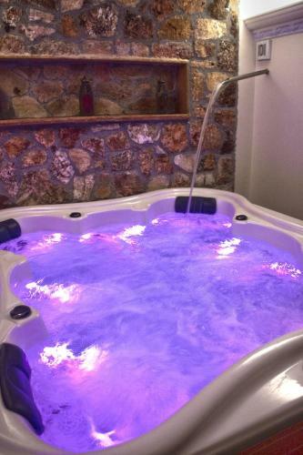 Hotel Iris Spa