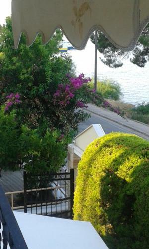 Hotel Romantica
