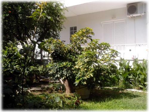 Aeolus Apartments & Studios
