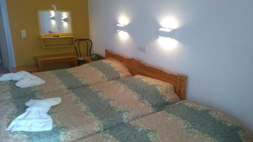 Hotel Aidipsos