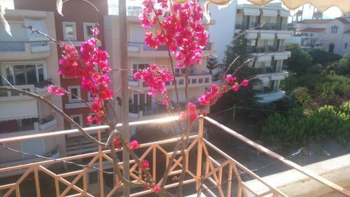 Hotel Aidipsos